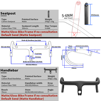 Rangka Sepeda Jalan Raya BXT New Road Frame Carbon Fiber T800 2024 Kabel Tersembunyi Penuh Di2 Rem Cakram T47 Ringan Dengan Stang