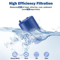 Filtre de remplacement pour montage de robinet charbon actif en plastique naturel puissant personnalisé fourni bidons d'eau en plastique anglais NSF