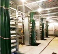 Système de cages automatiques pour poules pondeuses de type H, cages en batterie galvanisées à chaud pour l'élevage commercial de volailles pondeuses