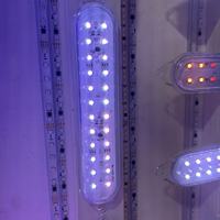 RGB-Pixel-Lichtstreifen, wasserdicht, programmierbare LED-Pilzlichter für Freizeitpark-Riesenrad