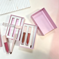 Ensemble de rouge à lèvres liquide végétalien pour maquillage de marque privée, gloss à lèvres, rouge à lèvres mat imperméable et kit de crayons à lèvres avec logo
