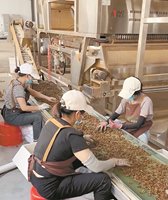 Commande en gros de qualité supérieure de poivre noir séché sous forme de poudre de graines d'herbes au goût chaud épices gingembre clous de girofle sauge marchés mondiaux-faible