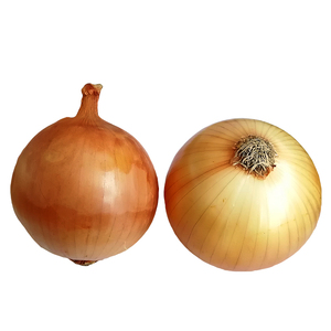 Xuất Khẩu Hành Tươi Sang Dubai - Product Image 4