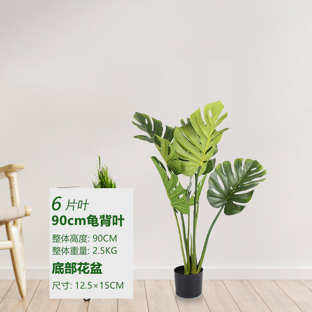 Monstera 90cm
