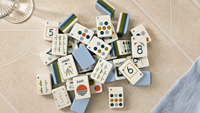 Ensemble de Mahjong américain moderne SenJoy, 160 tuiles, acrylique triple couche, norme NMJL, avec carte de règles 2026 et accessoires