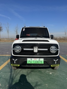 Vehículo Eléctrico de Cuatro Ruedas Yuanqida con Batería de Litio, Homologado por EEC y <span class=keywords><strong>DOT</strong></span>, Legal para Circular en la Calle, de Baja Velocidad, para Europa y EE. UU. - Product Image 1