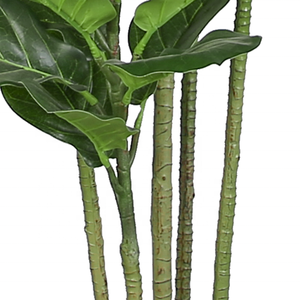 Nhà Máy Bán Hàng Trực Tiếp 165Cm Lớp Giả Nhà Máy Bất Cảm Ứng Nhân Tạo Tự Nhiên Nhân Tạo Cây <span class=keywords><strong>Fiddle</strong></span> Lá vả Nhà Máy Cho Nhà Ngoài Trời - Product Image 6