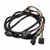 Rangkaian Kabel Mesin Kustom, Perakitan Kabel Kendaraan, Kabel Otomotif, Kabel Kapal, Konektor Tahan Air, Rangkaian Kabel Mobil