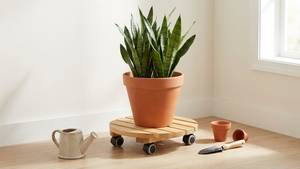 [BenK] Support de plantes en bois rond FSC à roulettes mobiles, système Wagner, rouleau pour plantes, classique, doux, très vendu - Product Image 2
