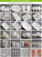 Support à bière en bagasse de canne à sucre 100 % compostable, service personnalisé