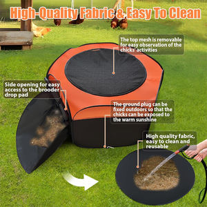 Grande <span class=keywords><strong>Cage</strong></span> <span class=keywords><strong>Pop</strong></span>-<span class=keywords><strong>Up</strong></span> pour Poulet pour Bébé Conception à Double Porte Structure Portable Pliable Idéal pour l'Élevage de Poussins Intérieur Extérieur - Product Image 5