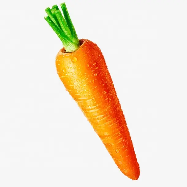 नए सत्र ताजा गाजर चीन में किए गए