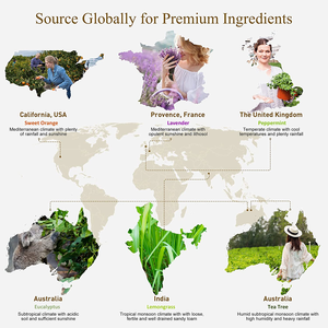 Olio Fragrante Naturale <span class=keywords><strong>di</strong></span> Lavanda, Gelsomino, Lime e Cocco per Shampoo, Produzione <span class=keywords><strong>di</strong></span> Sapone e <span class=keywords><strong>Profumeria</strong></span> |   Cura della pelle e dei capelli - Product Image 5