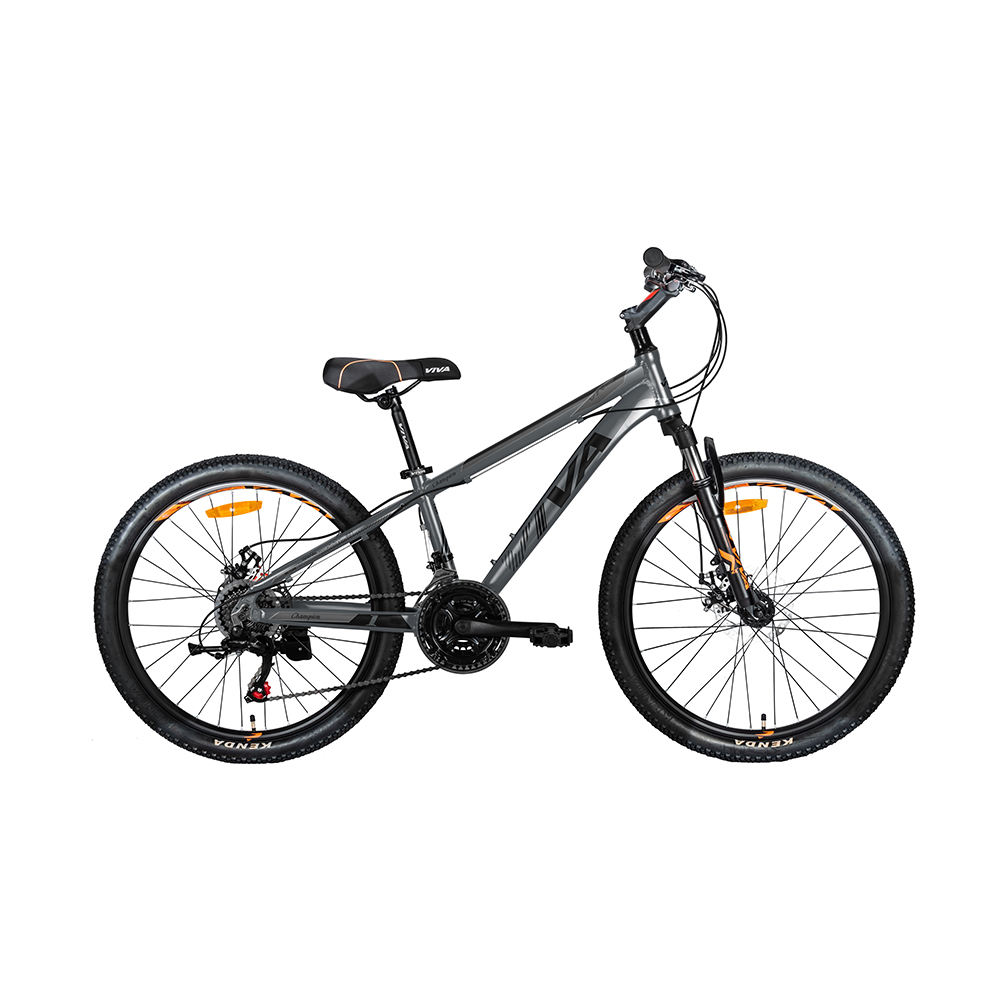 21 Speed Aluminum Alloy Frame Youth Mountain Bike 20