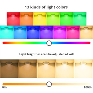 ไฟกลางคืน LED RGB 13 สี สไตล์โมเดิร์นมินิมอล พร้อมรีโมทคอนโทรล ปรับความสว่างได้ ใช้แบตเตอรี่ AAA วัสดุ PC สำหรับตู้เก็บของและห้องนั่งเล่น - Product Image 2