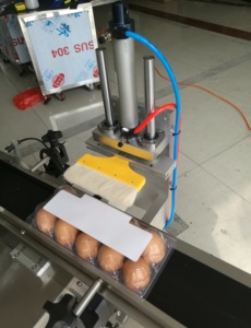 เครื่องติดฉลากมุมบนด้านบนกล่องกระดาษอัตโนมัติ รุ่น YM210L สำหรับติดสติกเกอร์บนถาดไข่ - Product Image 5