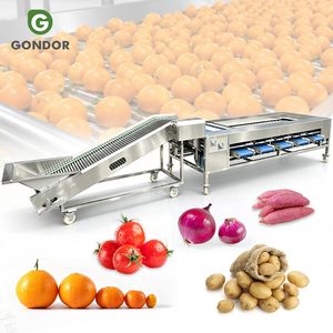 Ligne de production de lavage et de cirage automatique pour noix de coco, carottes, abricots, grenades, avec trieuse de fruits à rouleaux et calibreuse à vendre - Product Image 1