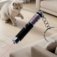 Accessoires pour chats, pointeur laser interactif mini en alliage d'aluminium, écologique, classique, jouet pour chat