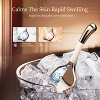 Rouleau facial de refroidissement 3 en 1 Microcurrent Cryo Sticks Acier inoxydable Gua Sha Visage Masseur Glace Globes