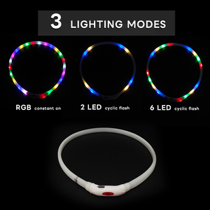 USB LED 조명 기능이 있는 개 목걸이, 고양이용 맞춤형 실리콘 방수 목걸이, 솔리드 스타일, 현대적인 반려동물을 위한 조절 가능 목걸이 - Product Image 2