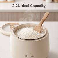 Cuisinière à riz intelligente 2,5 L, cuiseur électrique multifonction, mini-cuiseur intégré pour dortoir, cuiseur à porridge intelligent