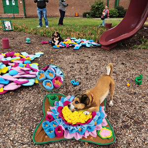 Çok fonksiyonlu Pet yavaş gıda anti-boğulma snudogs Mat köpekler kediler ve hayvanlar için interaktif snumat Mat - Product Image 4