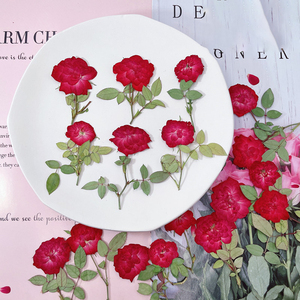 <span class=keywords><strong>Flores</strong></span> <span class=keywords><strong>de</strong></span> Rosa Roja Secas Prensadas con Ramas para Arte Floral, Manualidades y Resina - Product Image 1