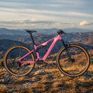Vélo de montagne électrique en fibre de carbone 29 pouces, suspension intégrale, BAFANG M560 à vendre, <span class=keywords><strong>VTT</strong></span> - Product Image 1