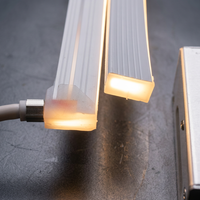 Tira de LED de Neón de la Serie 1020 de Largo Alcance, con Cero Caída de Voltaje, Resistente al Agua, para Decoración de Fachadas y Contornos de Edificios
