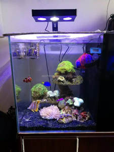 Lumière LED pour aquarium 30W, éclairage LED pour aquarium marin à intensité variable, lampe pour aquarium de corail, lampe pour aquarium de poissons, 30W LED Aqua Knight <span class=keywords><strong>V1</strong></span> - Product Image 5