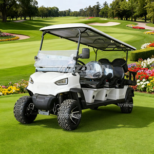 Carrito de Golf Eléctrico de 6 Plazas, 4 Ruedas, Color Blanco, Precio al por Mayor, para Campos de Golf y Clubes - Product Image 3