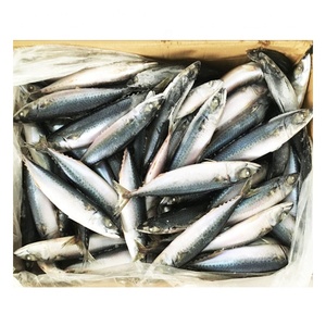 Tên khoa học của đông lạnh toàn bộ Thái Bình Dương Cá Thu cá trên bán với giá tốt nhất của Thái Bình Dương Cá Thu - Product Image 4