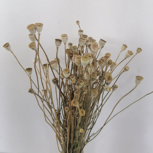 Fleurs et plantes décoratives en gros, pavot de la vallée séché, pavot de la vallée séché, bouquets de fleurs conservées, décoration de mariage, décoration de la maison, cadeau - Product Image 6