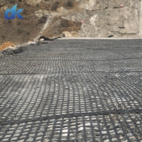 Géogrille biaxiale 100 kN en PET pour travaux de terrassement, filet en plastique renforcé pour allées, géogrille en polyester
