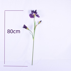 Fleur d'iris artificielle haute fidélité pour la décoration de la maison et du bureau, les événements de mariage, la photographie, les arrangements floraux, plante simulée - Product Image 5