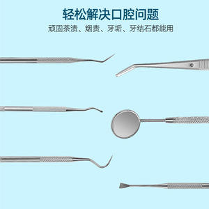 Stainless Steel Dental Tool <b>Set</b> (6 Pieces): Plaque Remover, Probe, Hook, Tartar Cleaner, Pet Dental Clinic - Product Image 4