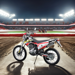Meilleure vente <span class=keywords><strong>Moto</strong></span> tout-terrain <span class=keywords><strong>4</strong></span> <span class=keywords><strong>temps</strong></span> Motocross <span class=keywords><strong>Enduro</strong></span> Racing <span class=keywords><strong>Moto</strong></span> tout-terrain 250cc 300cc Motos tout-terrain <span class=keywords><strong>4</strong></span> <span class=keywords><strong>temps</strong></span> à vendre - Product Image 4
