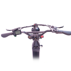Nouveau modèle <span class=keywords><strong>de</strong></span> vélo <span class=keywords><strong>cargo</strong></span> électrique <span class=keywords><strong>de</strong></span> 20 pouces 48V35AH pour la livraison <span class=keywords><strong>de</strong></span> nourriture - Product Image 3