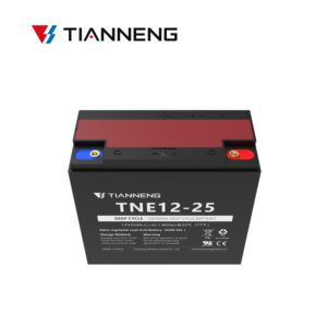 Tianneng TNE 12-25 دورة عميقة عامة 12 فولت 25ah e بطارية الرصاص الحمضية للدراجة - Product Image 6