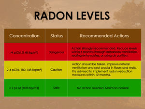 Rilevatore di Radon Portatile Monitor AQI Rilevatore di Gas per Uso Domestico Rilevatore di Gas Radon Ricaricabile Unità Bq/m³ o PCi/L - Product Image 5