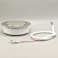Thyristor Gerbang Terdistribusi IP147-3176-P untuk Furnace Fasr SCR IP147-3176-P