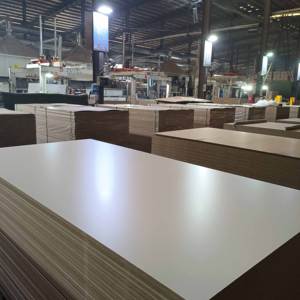 ألواح <span class=keywords><strong>MDF</strong></span> عالية الجودة من الدرجة الأولى بتصميم عصري مزدوجة الوجهين فائقة النعومة من مادة PET مع انبعاثات منخفضة للفورمالديهايد وصفائح <span class=keywords><strong>MDF</strong></span> مغلفة - Product Image 4