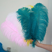 Plumes d'autruche d'Afrique du Sud 45-50 cm, véritables plumes orange, pour décoration artistique, carnaval, grand décor, plumes de chapellerie, décoration de mariage, en gros
