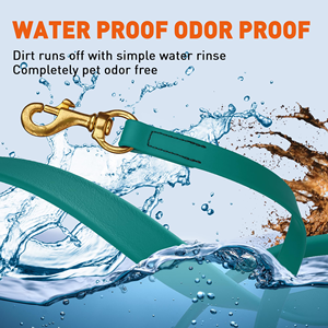 ปลอกคอสุนัขแบบนิ่มกันน้ำ PVC พร้อมสายจูงและป้ายชื่อ ขายส่ง ปลอกคอแฟชั่นหรูหรา ปรับขนาดได้ - Product Image 5