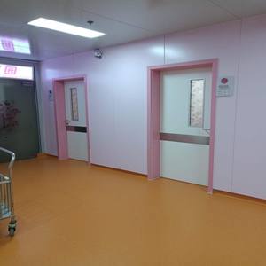 Puerta Plegable Manual de Acero para Hospital, Resistente a Explosiones, con Mantenimiento Prediccional, Ligera, Acabado para Uso Interior - Product Image 6