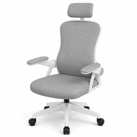 Silla Ergonómica de Malla para Computadora, para Estudiantes de Secundaria, Oficina en Casa, Giratoria, Altura Ajustable, para Sala de Estar, Hotel, Comercial