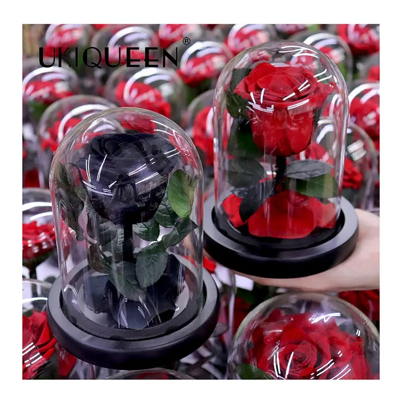 2021 חדש מיני אדום אמיתי התייצב יופי חית פרח הקטן נסיך מתנה כיפת לנצח נצחי השתמר זכוכית <span class=keywords><strong>ורדים</strong></span> תיבה
