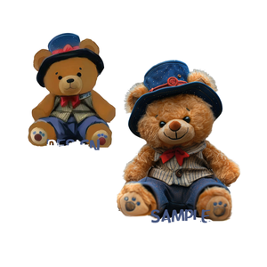 Ours en peluche à habiller, deux tons de fourrure, plusieurs tenues amovibles, 25 cm, décoration mignonne, cadeau pour enfants, couples, amateurs de peluches - Product Image 1