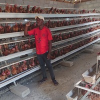 Vente directe d'usine, cage à poules pondeuses de type A, 4 niveaux, 4 portes, cages à batterie pour poules pondeuses, élevage de volailles, construction de bâtiments