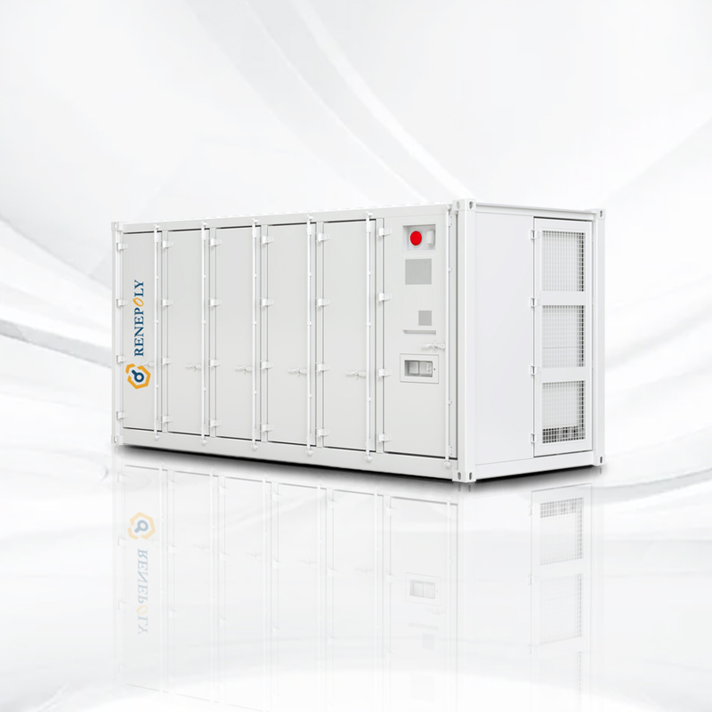 Renepoly OEM Lithium Battery Storage Container